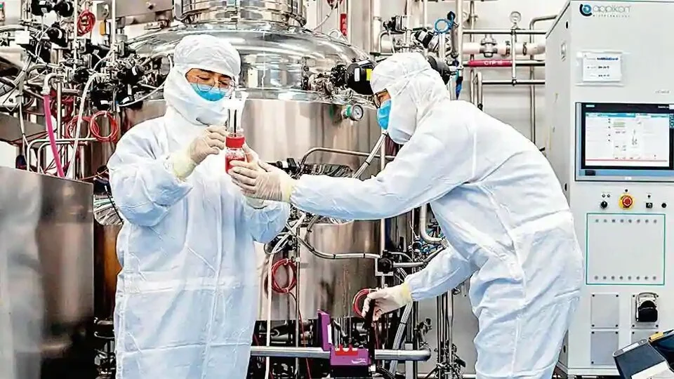 Engineers work on monkey kidney cells for an experimental vaccine for the COVID-19 coronavirus inside the Cells Culture Room laboratory at the Sinovac Biotech facilities in Beijing in April 2020.