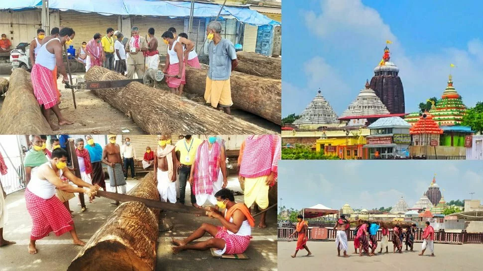 Jagannath Puri Rath Yatra 2020: Chariots' construction work begins amid lockdown- In pics