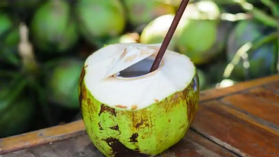 Coconut has zero wastage — the water can be fermented and made like kanji , for better shelf life the white part can be grated and frozen in batches, says chef Nishant Choubey.